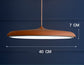 Nordic Modern Simple LED Chandelier Restaurant Chandelier Designer Chandelier
